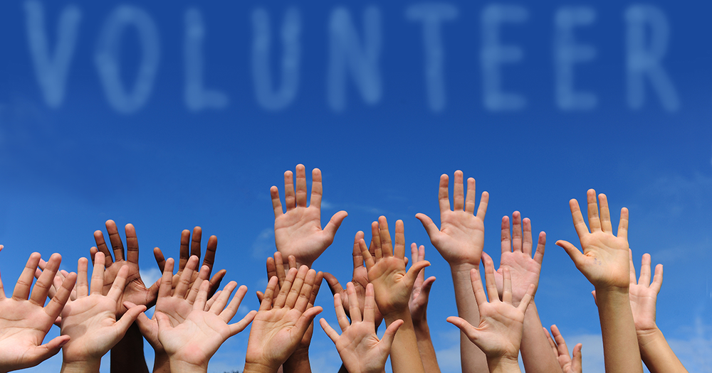 Volunteer. Hands raising.