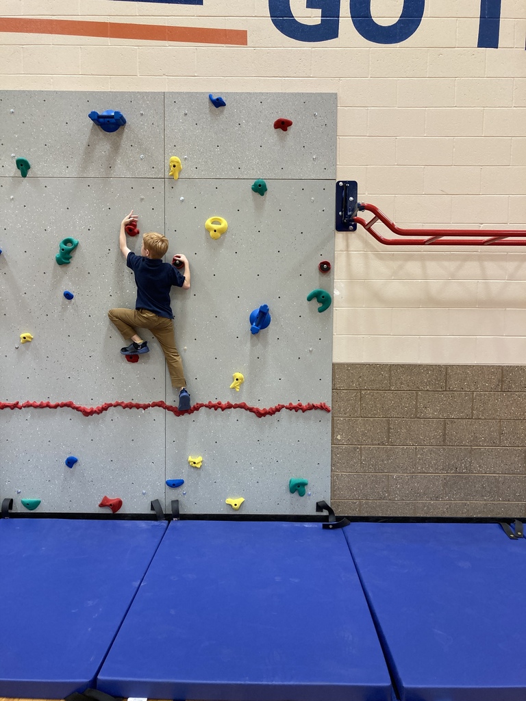 Student climbing on rock wall in gym class.