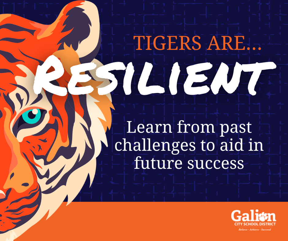 Tigers are...resilient. Learn from past challenges to aid in future success