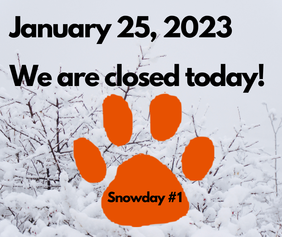 Snow Day