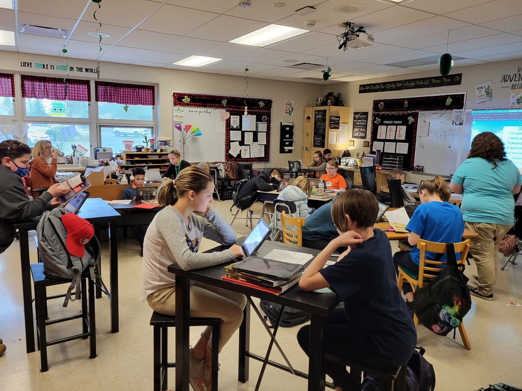 Students reading at desks