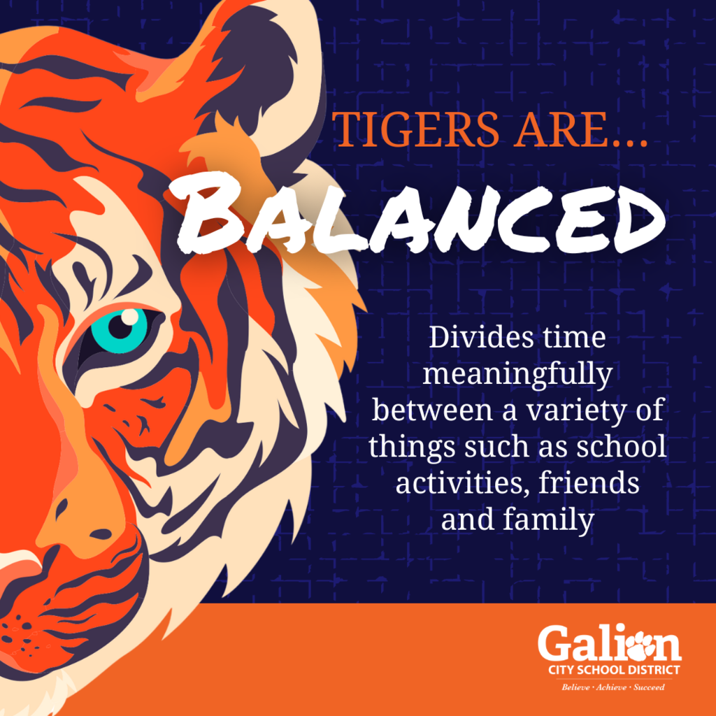 Tigers are balanced. Divides time meaningfully between a varity of things uch as school activities, friends and family